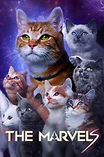 Poster for The Marvels